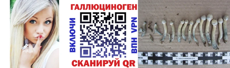где продают наркотики  Белая Калитва  omg   Псилоцибиновые грибы мухоморы 